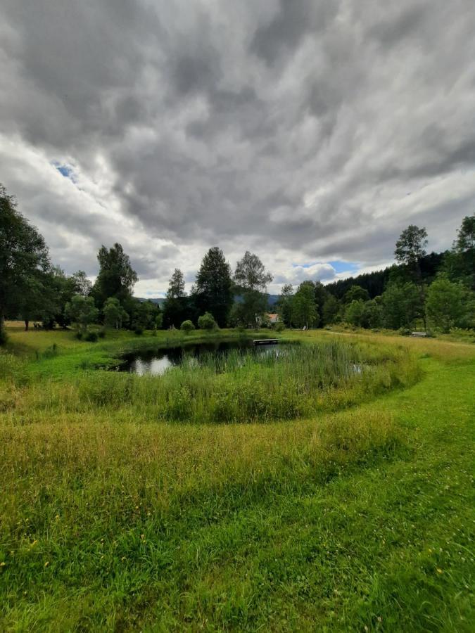 Arber apartman Apartment Bayerisch Eisenstein Bagian luar foto